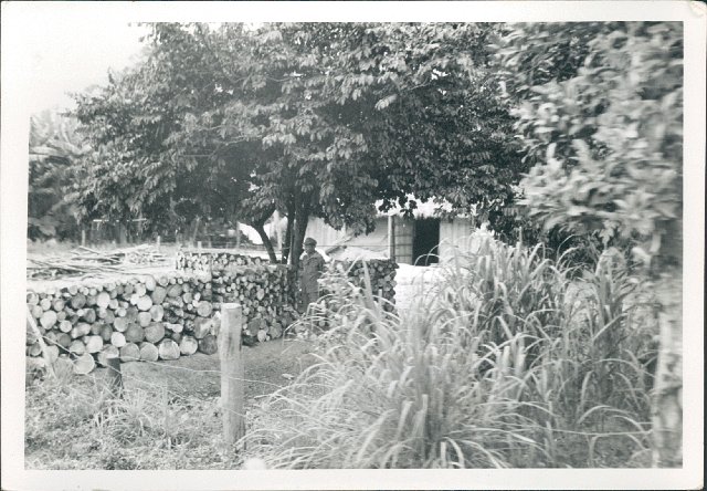 0051 Village